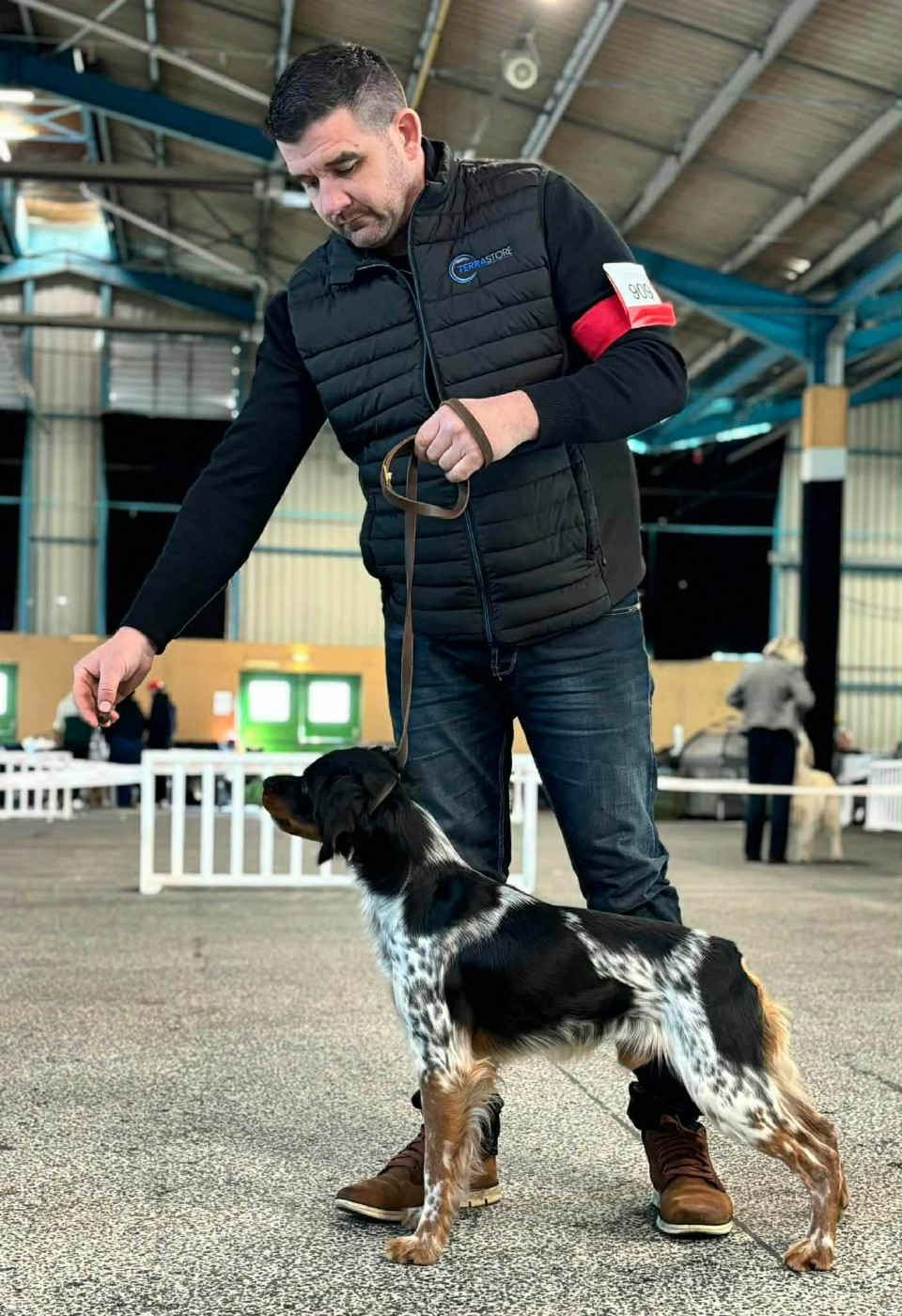 Vulkain Du Bois des Vergnes(Net de Sous les Viviers x CH.Nikie du Bois des Vergnes)