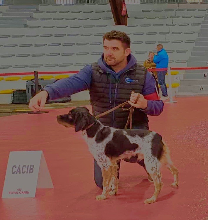 Vulkain du Bois des Vergnes 