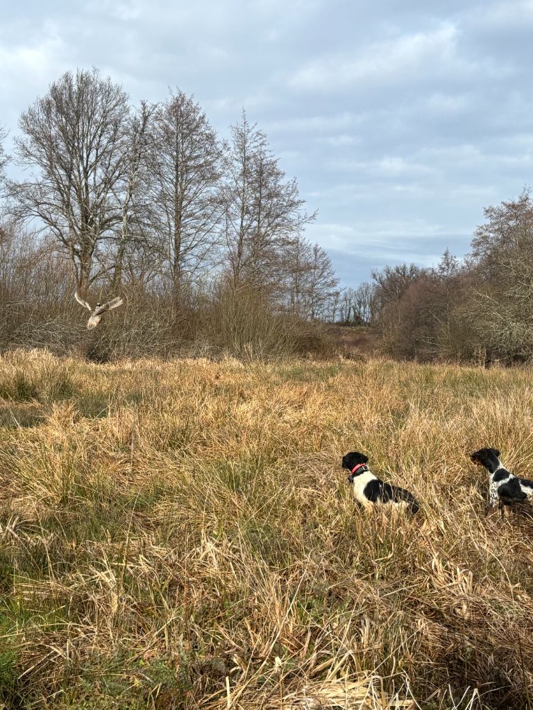 Du Bois Des Vergnes - Vulkain arrêt patron avec sa mère Nikie